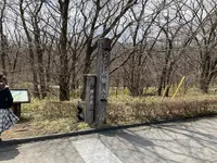 つつじ吊橋の写真・動画_image_681337