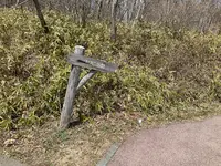 つつじ吊橋の写真・動画_image_681338