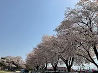 黒磯公園の写真・動画_image_681584