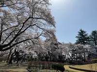 黒磯公園の写真・動画_image_681585