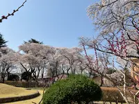 黒磯公園の写真・動画_image_681586