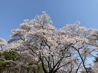 黒磯公園の写真・動画_image_681587