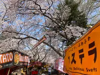 黒磯公園の写真・動画_image_681589