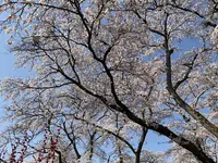 黒磯公園の写真・動画_image_681590