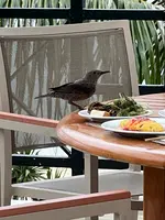 ザ・ブセナテラスの写真・動画_image_681797
