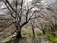 烏帽子山公園の写真・動画_image_682215
