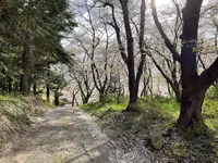 烏帽子山公園の写真・動画_image_682218