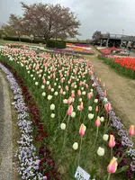 道の駅 新潟ふるさと村の写真・動画_image_682451