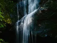 琴滝の写真・動画_image_685992