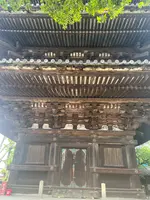法観寺 八坂の塔の写真・動画_image_690447