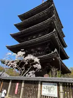 法観寺 八坂の塔の写真・動画_image_690509