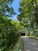 千秋公園の写真・動画_image_691142