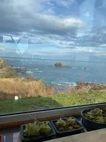 ホロンバイルの写真・動画_image_692444