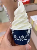 道の駅しらぬか恋問の写真・動画_image_693742