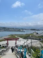 蕪嶋神社の写真・動画_image_693967