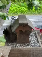 ロッジ シラルトロの写真・動画_image_694353