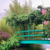 北川村「モネの庭」マルモッタンの写真・動画_image_695342