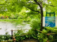 北川村「モネの庭」マルモッタンの写真・動画_image_695343