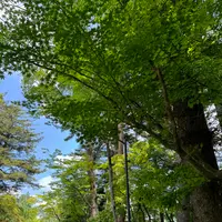 角館武家屋敷通りの写真・動画_image_695650