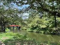 弘前公園の写真・動画_image_698668