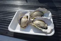 館鼻岸壁朝市の写真・動画_image_699212
