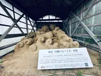 白兎神社の写真・動画_image_699715