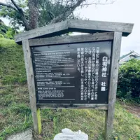 白兎神社の写真・動画_image_699716