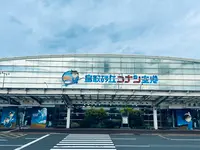 鳥取空港（鳥取砂丘コナン空港）の写真・動画_image_699720