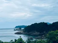 菜種五島の写真・動画_image_699731