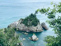 菜種五島の写真・動画_image_699734