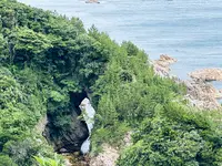 菜種五島の写真・動画_image_699736