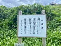 千両池の写真・動画_image_702024