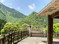 祖谷渓の小便小僧の写真・動画_image_703692