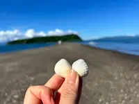 知林ヶ島の写真・動画_image_704046