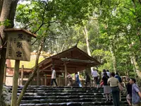 伊勢神宮の写真・動画_image_705679