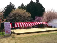 かんざき桜の山桜華園の写真・動画_image_70681