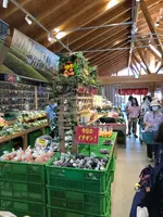 道の駅足柄・金太郎のふるさとの写真・動画_image_707315