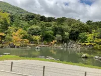 天龍寺の写真・動画_image_708519