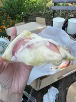やまなし内藤農園／PESCA-SHOPの写真・動画_image_709420
