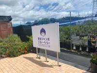 東金ジャンボブルーベリー エクスファーム 極上ブルーベリー体験の写真・動画_image_710728