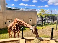旭川市 旭山動物園の写真・動画_image_710947