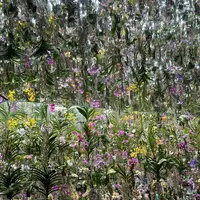 チームラボプラネッツ TOKYO (teamLab Planets TOKYO) DMMの写真・動画_image_713866