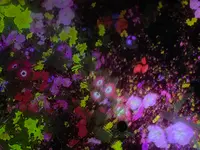 チームラボプラネッツ TOKYO (teamLab Planets TOKYO) DMMの写真・動画_image_713871