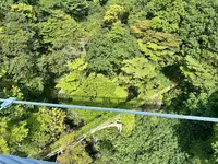 つつじ吊橋の写真・動画_image_714826