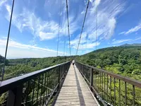 つつじ吊橋の写真・動画_image_714827