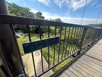 つつじ吊橋の写真・動画_image_714829
