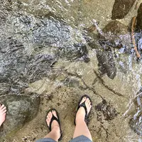 木の俣渓谷の写真・動画_image_714832