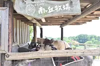 那須高原南ヶ丘牧場の写真・動画_image_714843