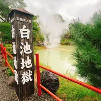 別府地獄めぐりの写真・動画_image_716220