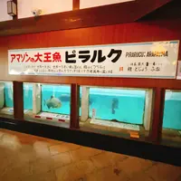 別府地獄めぐりの写真・動画_image_716222